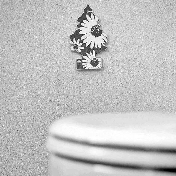 Little Trees Bubble Gum Air Freshener ароматизатор ёлочка с запахом бабл гам, изображение 6